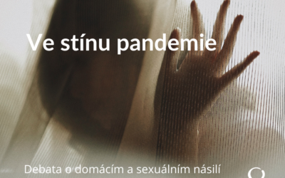 Ve stínu pandemie – debata o domácím násilí